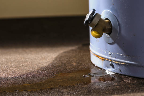 Best Flood damage cleanup  in Saddlebrooke, AZ