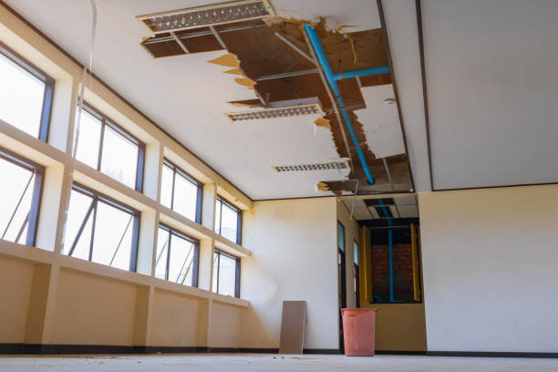 Best Local water damage restoration  in Saddlebrooke, AZ