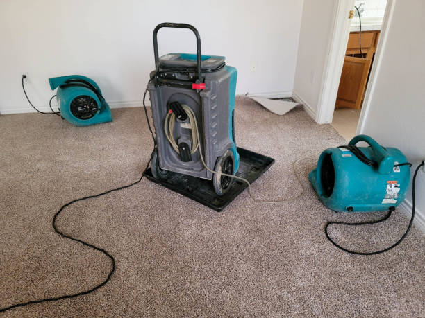 Best Fire Damage Restoration  in Saddlebrooke, AZ