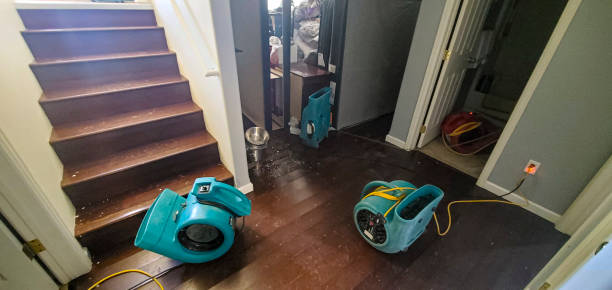 Reliable Saddlebrooke, AZ Water damage restoration Solutions