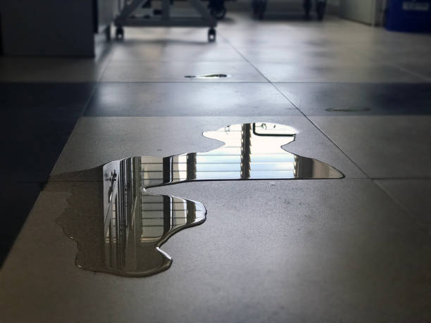 Best Ceiling water damage repair  in Saddlebrooke, AZ