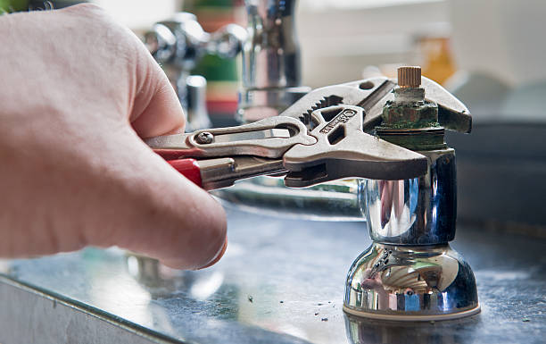 Best Basement water damage restoration  in Saddlebrooke, AZ