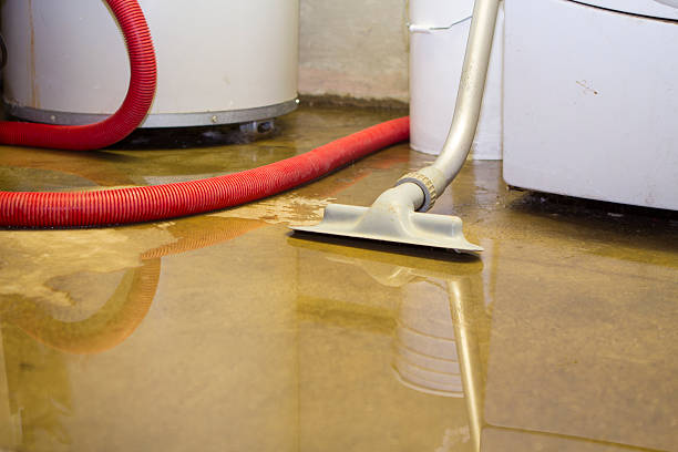 Best Basement water damage restoration  in Saddlebrooke, AZ