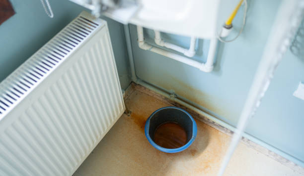 Best Flood restoration services  in Saddlebrooke, AZ