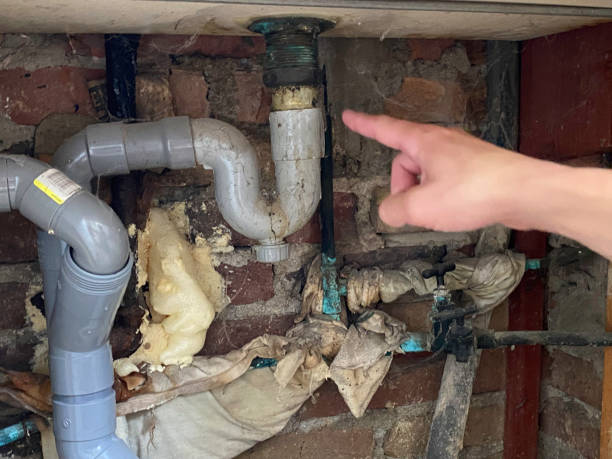 Best Commercial water damage restoration  in Saddlebrooke, AZ